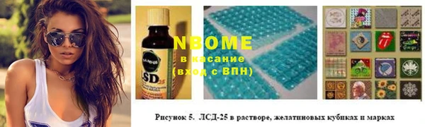трава Осинники