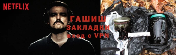 трава Осинники