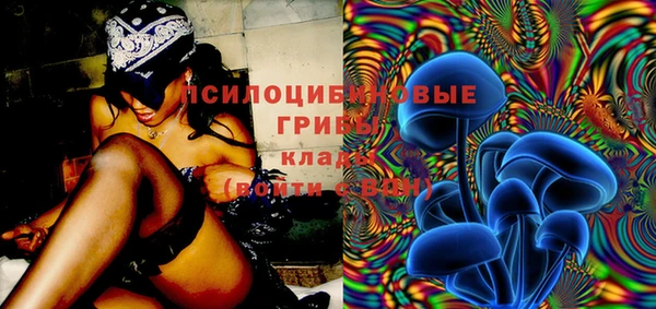 метадон Осташков