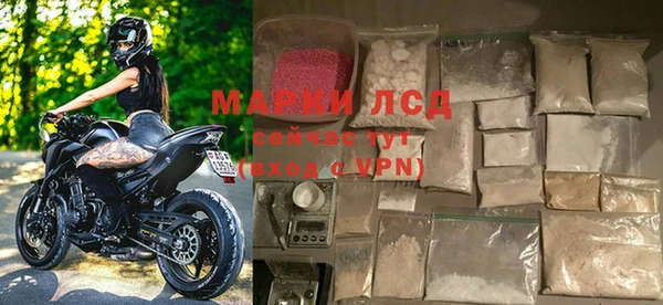 трава Осинники