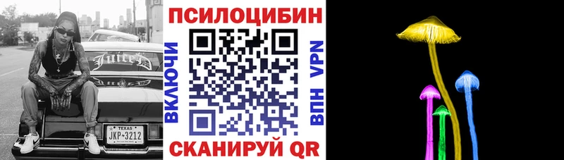хочу Абдулино Псилоцибиновые грибы Magic Shrooms